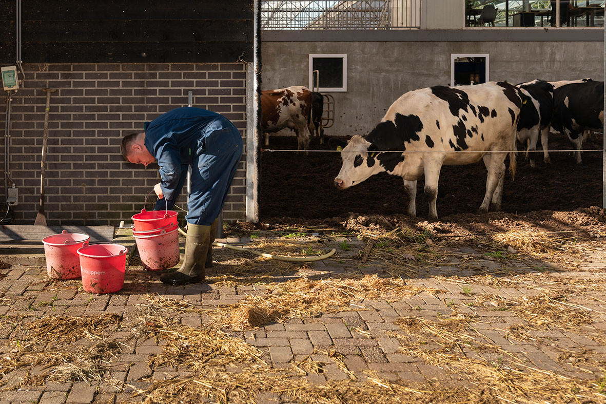 Zorgboerderij Bij de pinken uit Bladel webdesign en CMS