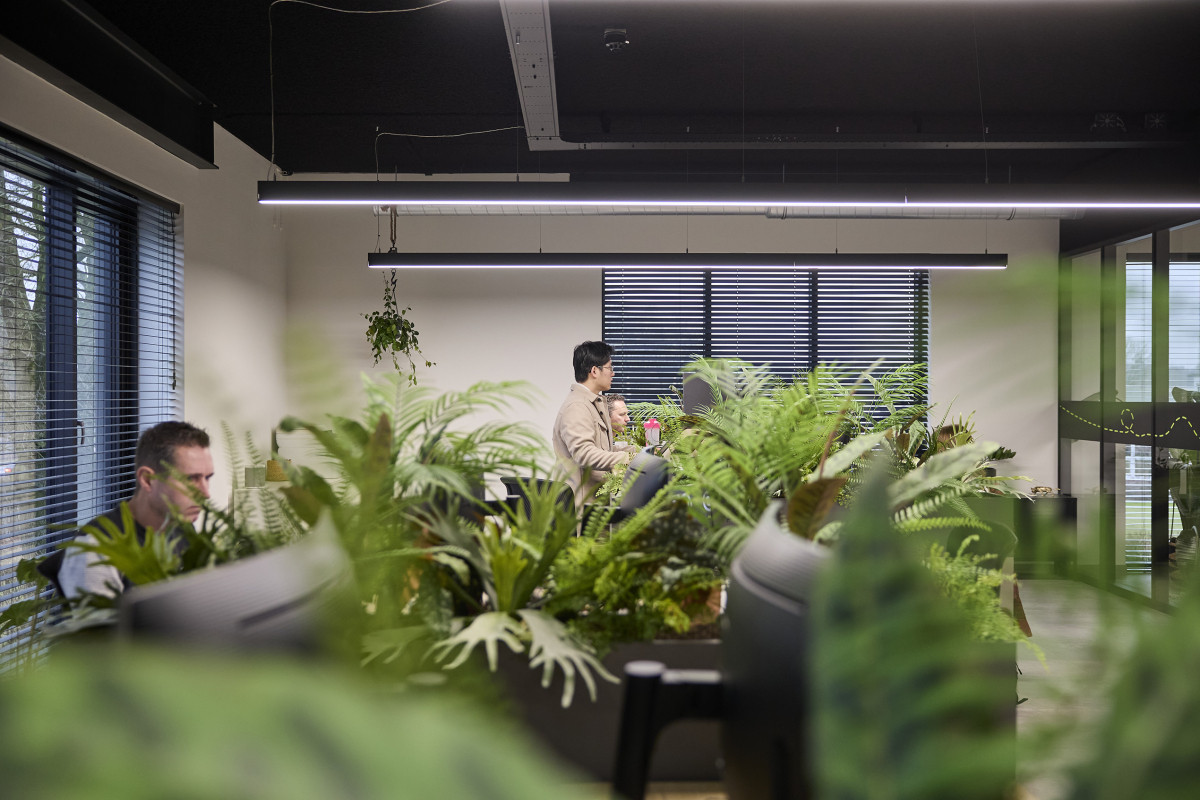 Wat AI doet met de kosten van maatwerksoftware